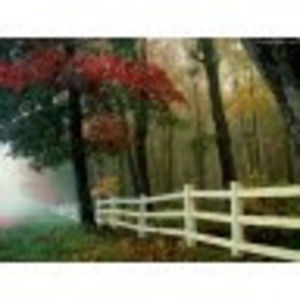 Meet your Posher, Ramya